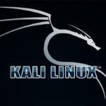 Как легко установить Kali Linux на компьютер с Windows