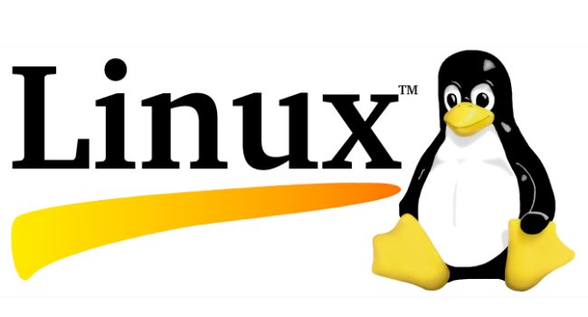 Read more about the article Плюсы и минусы операционной системы Linux