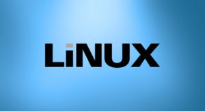 Подробнее о статье 4 лучших дистрибутива Linux для новичков, которые не основаны на Ubuntu