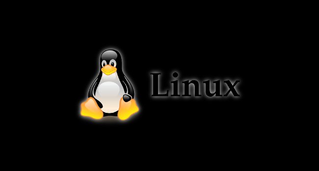 10 лучших дистрибутивов Linux на 2021 год