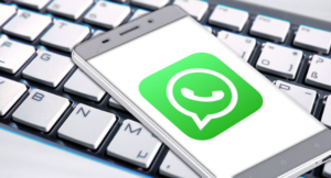 Подробнее о статье Как быстро написать в техподдержку WhatsApp и решить проблемы