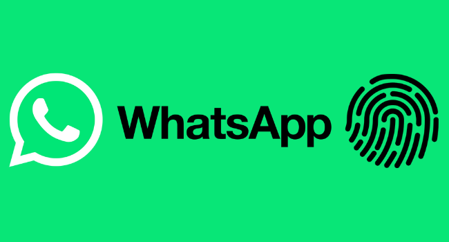 Подробнее о статье Как защитить свои чаты в WhatsApp с помощью блокировки отпечатком пальца на Android