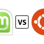 Linux Mint против Ubuntu: что лучше для начинающих?