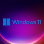 Windows 11 против Windows 365: в чем разница и что выбрать?