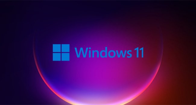Windows 11 против Windows 365: в чем разница и что выбрать?