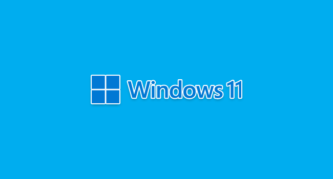Как протестировать Windows 11, ничего не устанавливая