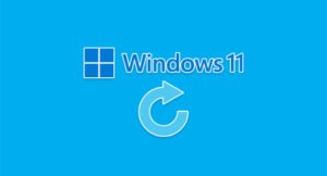 Подробнее о статье Как сбросить Windows 11 до заводских настроек?