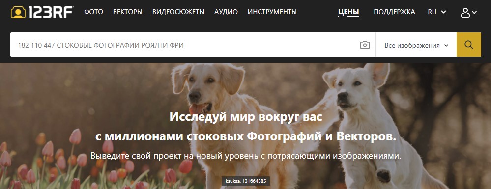 Как заработать на фотографиях? Топ-8 сайтов