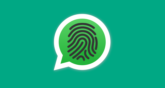 Как защитить чат в WhatsApp с помощью отпечатка пальца