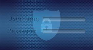 Подробнее о статье Безопасно ли сохранять пароли в браузере или лучше использовать другую программу?
