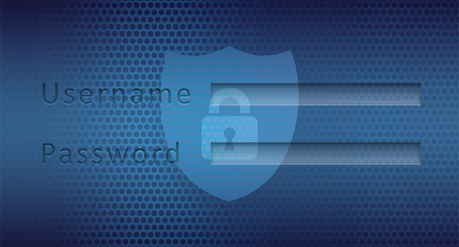 Подробнее о статье Безопасно ли сохранять пароли в браузере или лучше использовать другую программу?