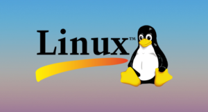 Подробнее о статье 15 лучших дистрибутивов Linux на 2024 год