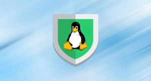 Подробнее о статье Стоит ли устанавливать антивирус на Linux?