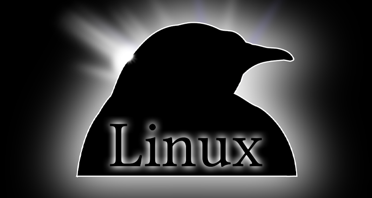 Подробнее о статье Лучшие дистрибутивы Linux на 2025 год: варианты на любой вкус и потребности
