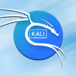20 лучших инструментов Kali Linux на 2025 год