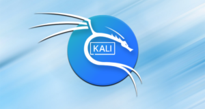 Подробнее о статье 20 лучших инструментов Kali Linux на 2025 год
