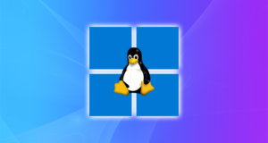 Подробнее о статье Windows-подобные дистрибутивы Linux, поддерживающие приложения Microsoft